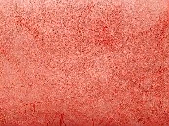 北美电竞战队100T宣布进军游戏开发领域 新作代号《Project X》